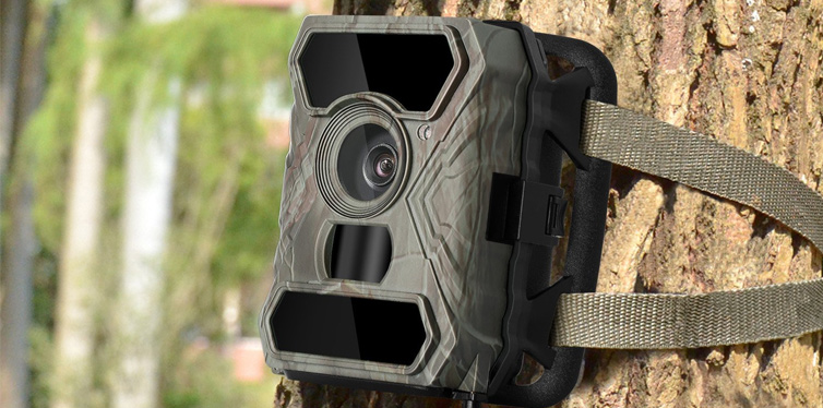 cheap trail cameras that work