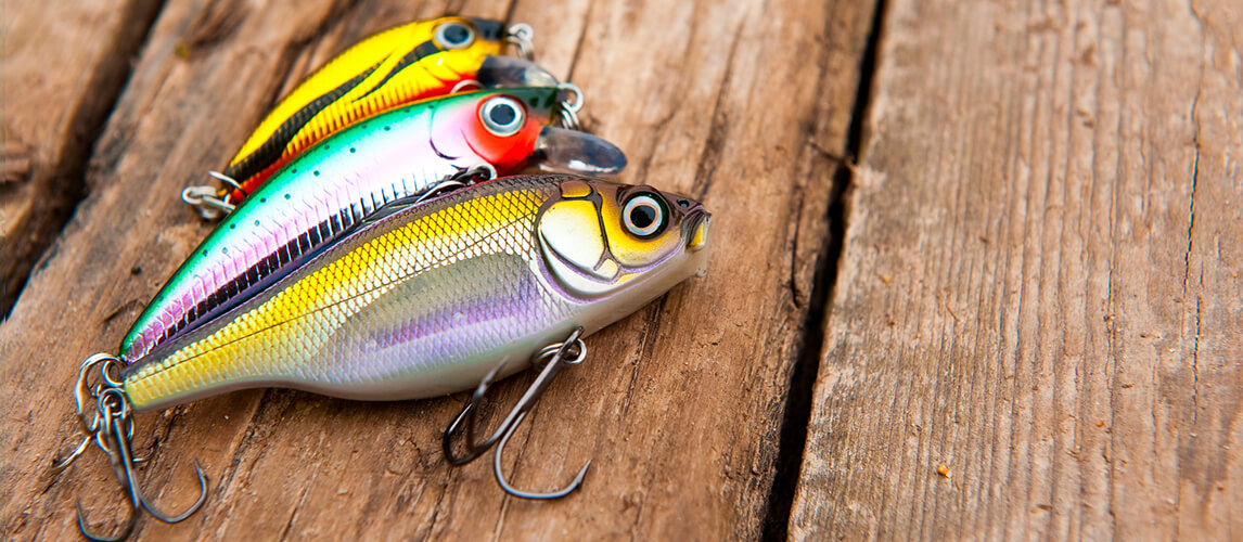 Best Fishing Lures In 2022 Buying Guide GearHungry