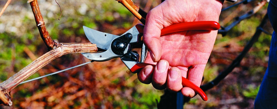 best pruning shears