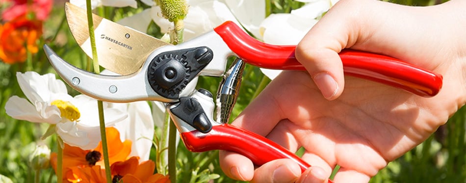 best pruning shears