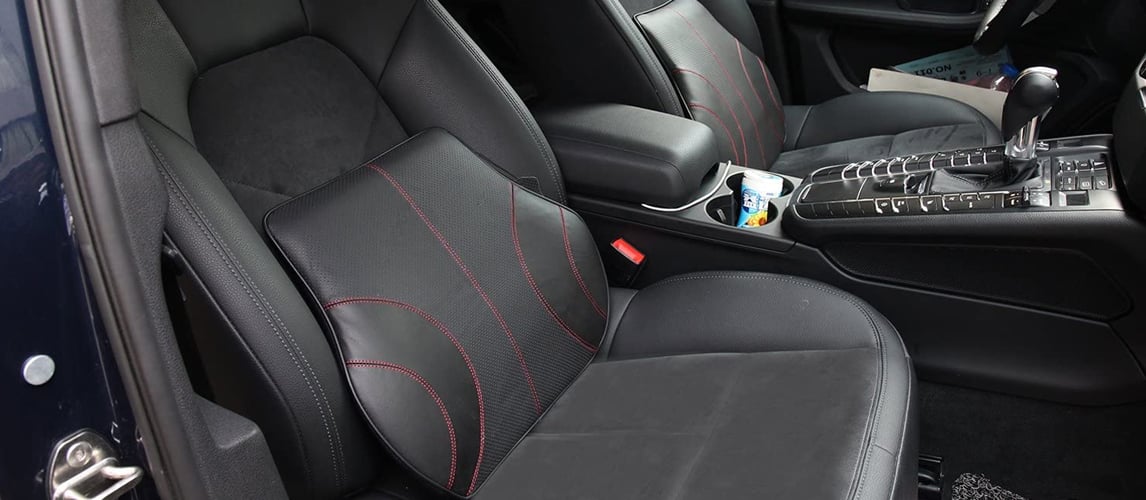 Big Ant Lumbar Support, Car Back Support Mesh Double Layers Ergonomic  Designed for Comfort and Lower Back Pain Relief - Car Seat Lumbar Support  for