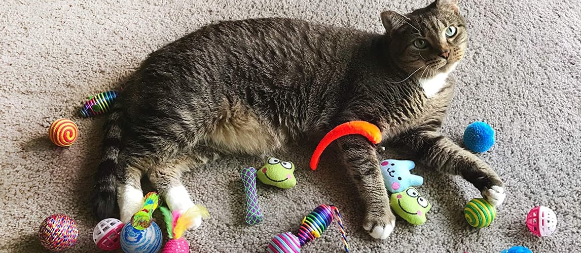 Best Cat Toys In 2022 [Buying Guide] Gear Hungry