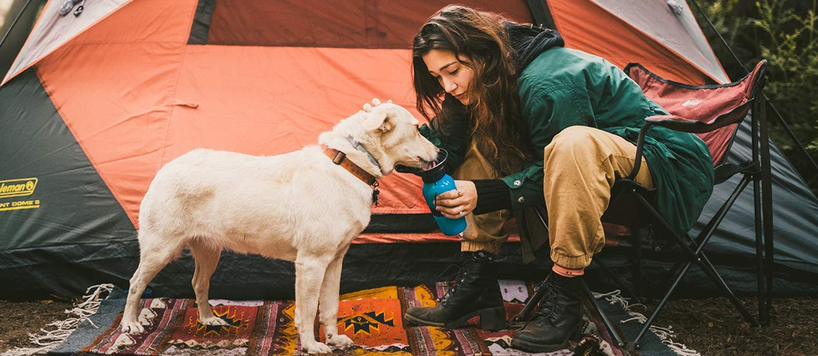 Best Dog Water Bottles In 2022 [Buying Guide] – Gear Hungry