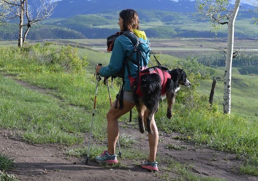 Ruff Rescue Gear. Dog Hiking. Fido (Dog).