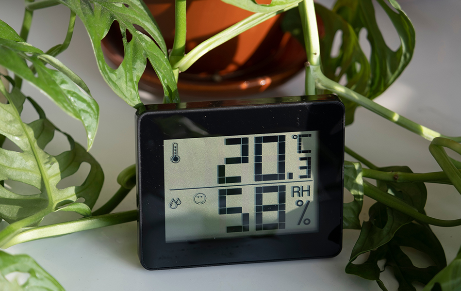 VIVOSUN Digital Indoor Thermometer and Hygrometer with Humidity