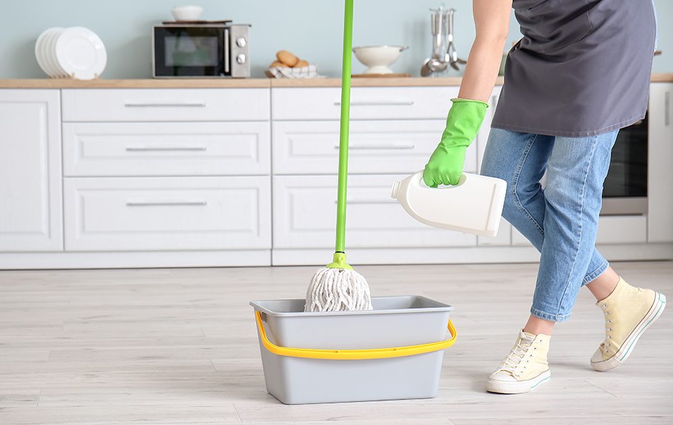 Oshang Mop Bucket with Wringer