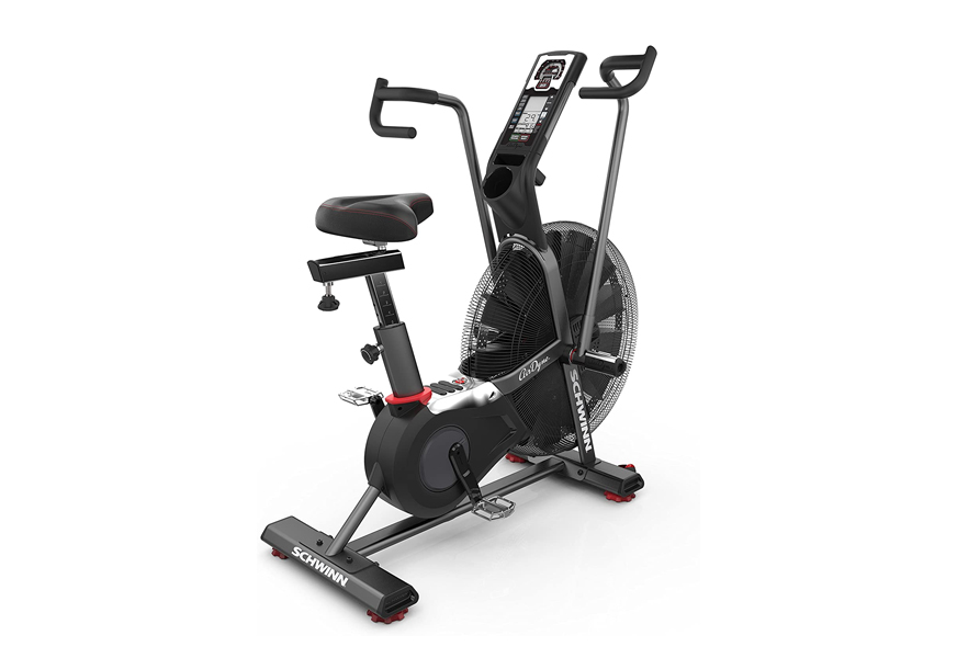 schwinn airdyne pro exercise assault bike
