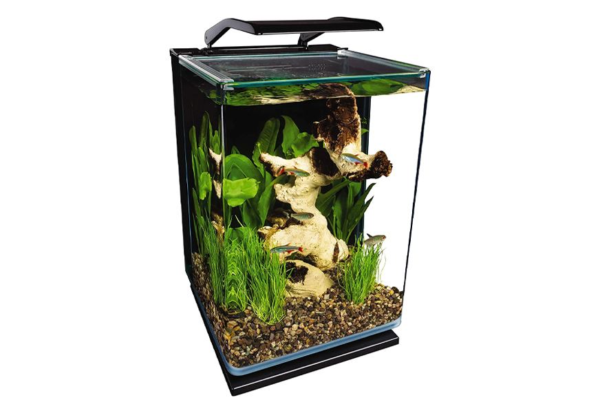 Eco Friendly Self-Cleaning Betta Fish Tank Aquarium Kit with River Stones +  Food
