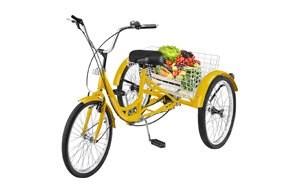 alameda tricycle