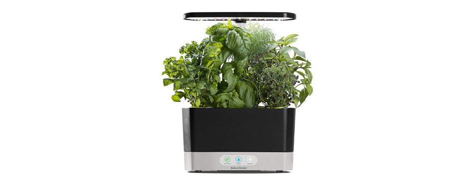 Best Indoor Herb Garden Kits In 2022 [Buying Guide] – Gear Hungry