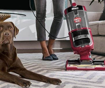 8 Best Carpet Steam Cleaners In 2020 [Buying Guide] – Gear Hungry