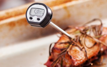 Best Meat Thermometers in 2022 [Buying Guide] - GearHungry