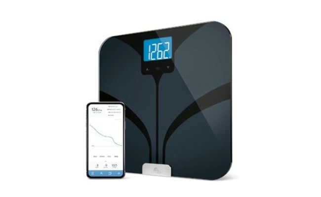 8 Best Body Weight Scales In 2019 Buying Guide Gear Hungry   Bluetooth Smart Body Fat Scale 6qymgwiscau8svb8czhj56ywfvvktwiwcevpxf4ha56 