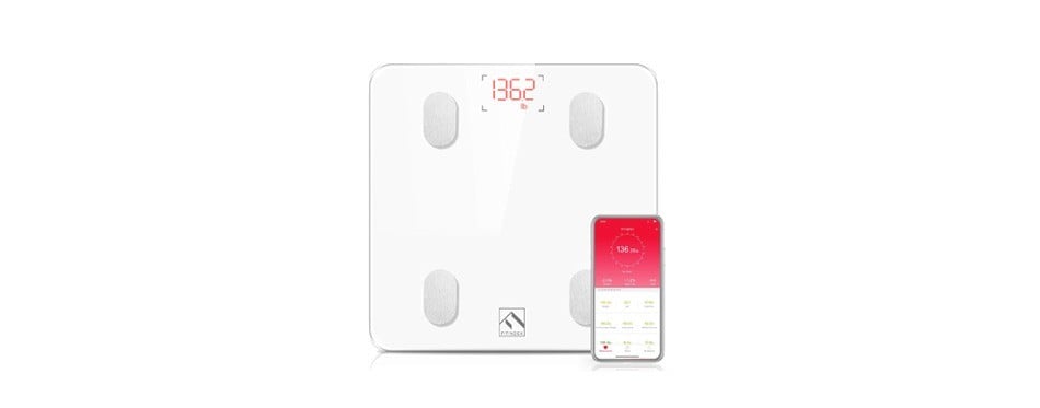 8 Best Body Weight Scales In 2020 Buying Guide Gear Hungry   Fitindex Smart Wireless Digital Bathroom Weight Scale 2  6qymgwitcuhf84uy6n8otmyfyfamb0no7zpnvnfeccu 